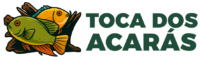 cropped documento logo transparente horizontal 1.png
